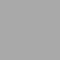 <noindex>RAL</noindex> 9006